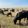 My Top Benefits of Buying Local Grass-Fed or Grain-Finished Beef